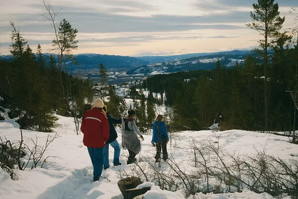 maenniskor-som-gaar-ner-foer-en-brant-i-fjaellvaerlden